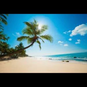 Meet your Posher, Katina